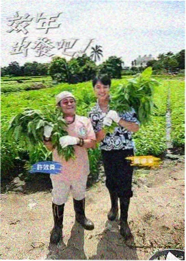 科技喜剧硅谷拼图摊位封面